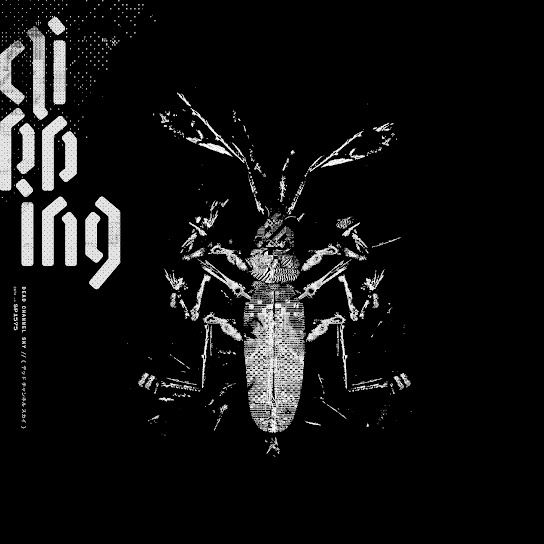 Album cover for [Album Title]